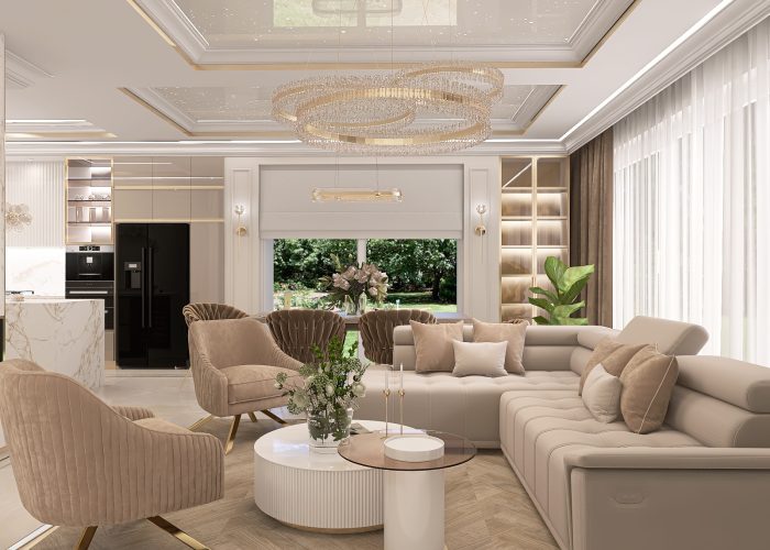 Salon + kuchnia (9)
